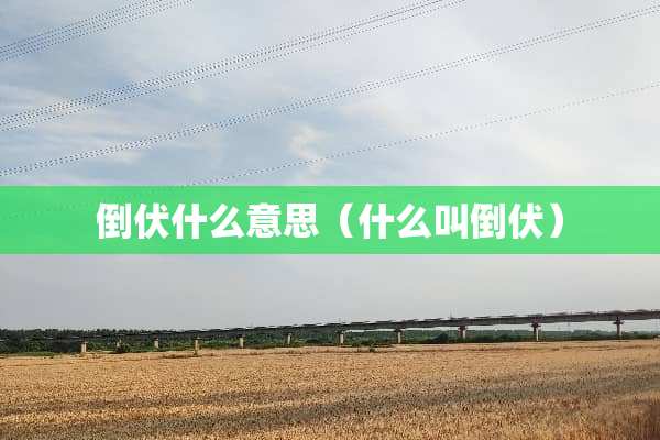 倒伏什么意思（什么叫倒伏）