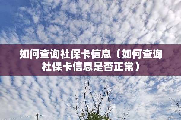 如何查询社保卡信息（如何查询社保卡信息是否正常）