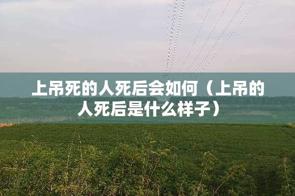 上吊死的人死后会如何（上吊的人死后是什么样子）