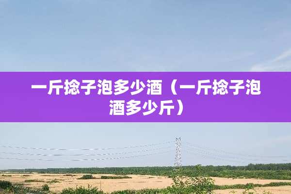 一斤捻子泡多少酒（一斤捻子泡酒多少斤）