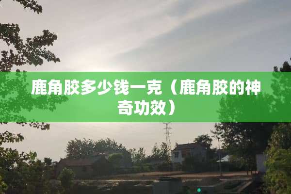 鹿角胶多少钱一克（鹿角胶的神奇功效）