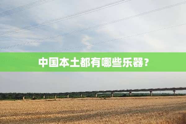 中国本土都有哪些乐器？