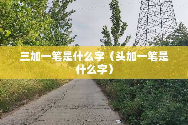 三加一笔是什么字（头加一笔是什么字）