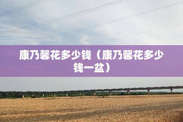 康乃馨花多少钱（康乃馨花多少钱一盆）