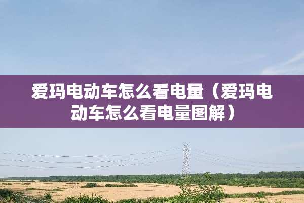 爱玛电动车怎么看电量（爱玛电动车怎么看电量图解）