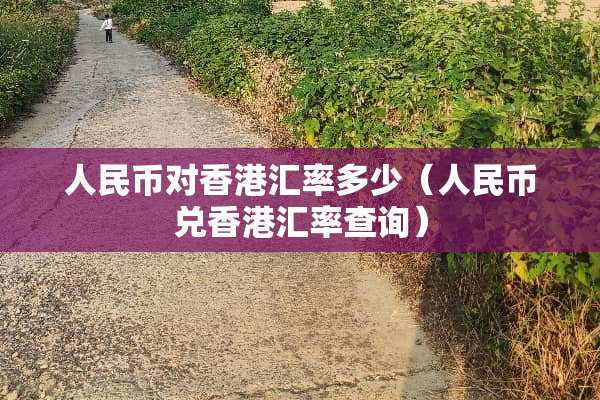 人民币对香港汇率多少（人民币兑香港汇率查询）