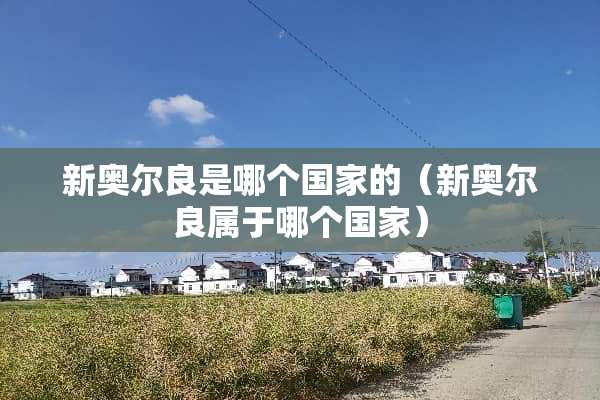 新奥尔良是哪个国家的（新奥尔良属于哪个国家）