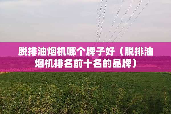 脱排油烟机哪个牌子好（脱排油烟机排名前十名的品牌）