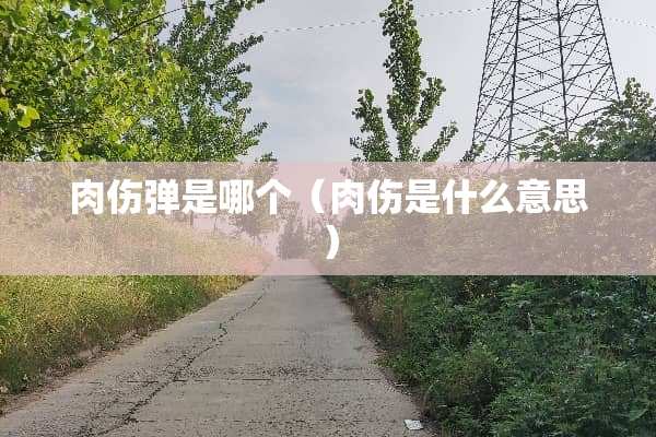 肉伤弹是哪个（肉伤是什么意思）