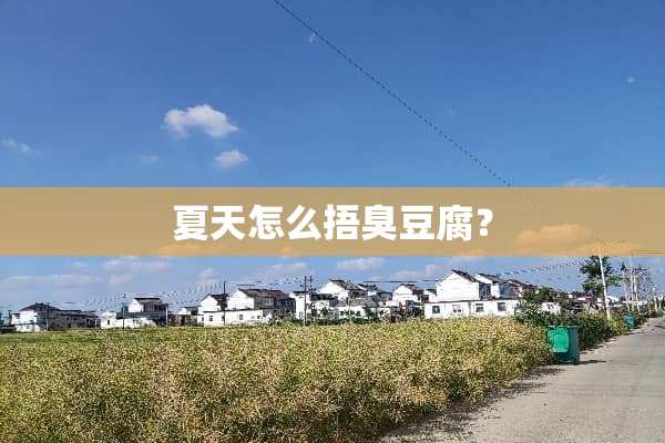 夏天怎么捂臭豆腐？