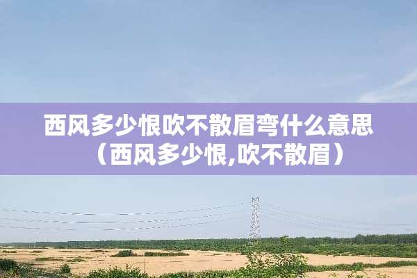 西风多少恨吹不散眉弯什么意思（西风多少恨,吹不散眉）