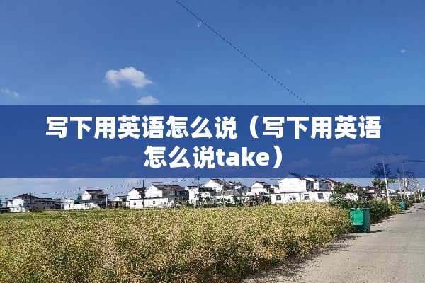 写下用英语怎么说（写下用英语怎么说take）