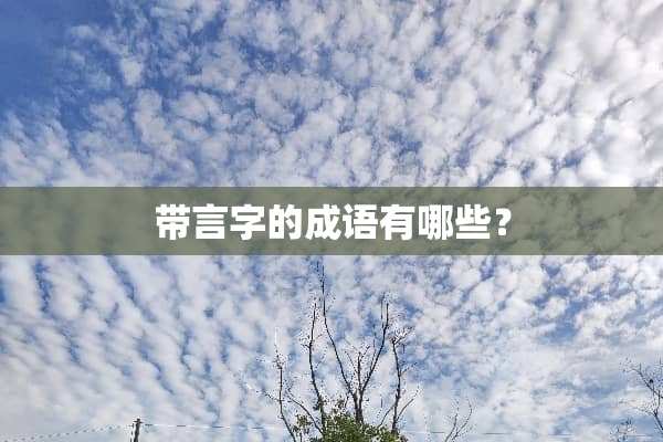 带言字的成语有哪些？