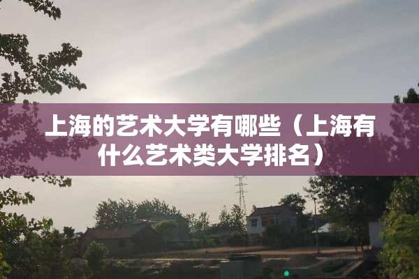 上海的艺术大学有哪些（上海有什么艺术类大学排名）