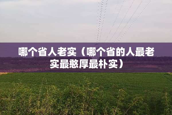 哪个省人老实（哪个省的人最老实最憨厚最朴实）