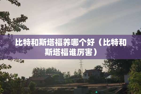 比特和斯塔福养哪个好（比特和斯塔福谁厉害）