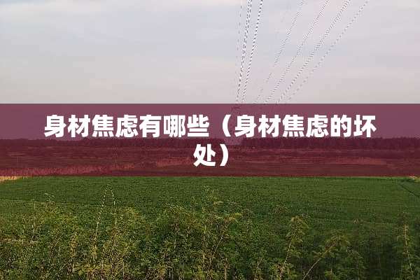 身材焦虑有哪些（身材焦虑的坏处）