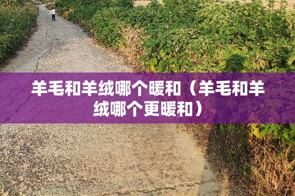 羊毛和羊绒哪个暖和（羊毛和羊绒哪个更暖和）
