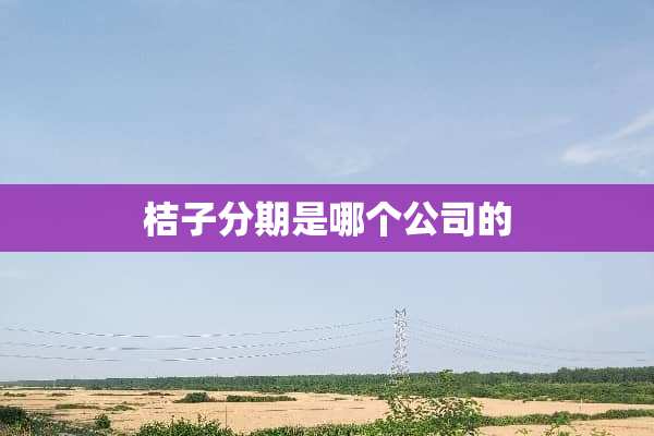 桔子分期是哪个公司的