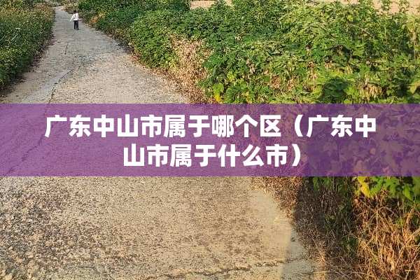 广东中山市属于哪个区（广东中山市属于什么市）