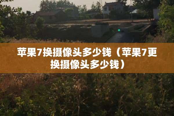 苹果7换**头多少钱（苹果7更换**头多少钱）