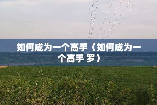 如何成为一个高手（如何成为一个高手 罗）