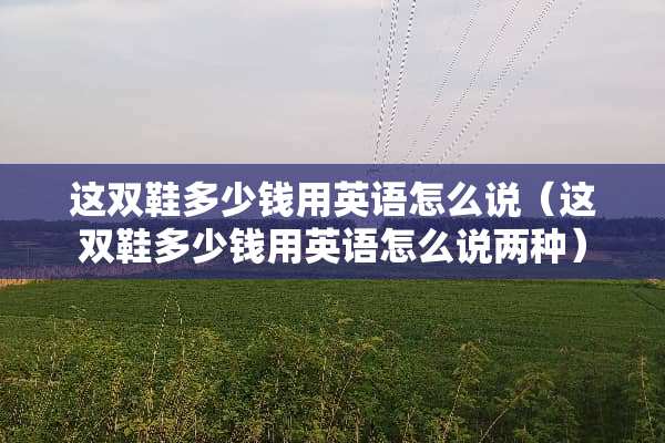 这双鞋多少钱用英语怎么说（这双鞋多少钱用英语怎么说两种）