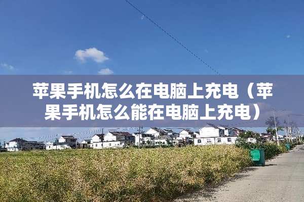 苹果手机怎么在电脑上充电（苹果手机怎么能在电脑上充电）