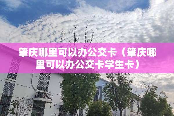 肇庆哪里可以办公交卡（肇庆哪里可以办公交卡学生卡）