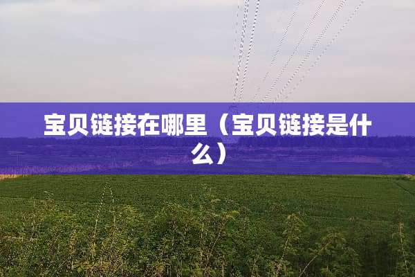 宝贝链接在哪里（宝贝链接是什么）