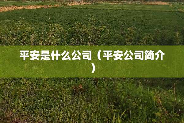 平安是什么公司（平安公司简介）