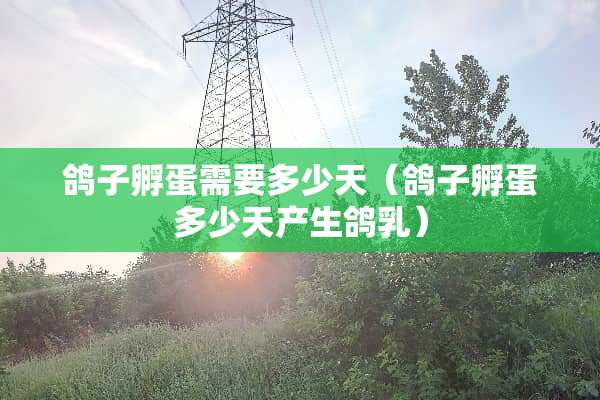鸽子孵蛋需要多少天（鸽子孵蛋多少天产生鸽*）