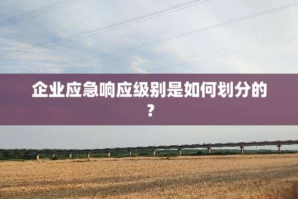 企业应急响应级别是如何划分的？