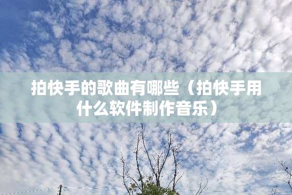 拍快手的歌曲有哪些（拍快手用什么软件制作音乐）