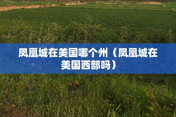 凤凰城在美国哪个州（凤凰城在美国西部吗）