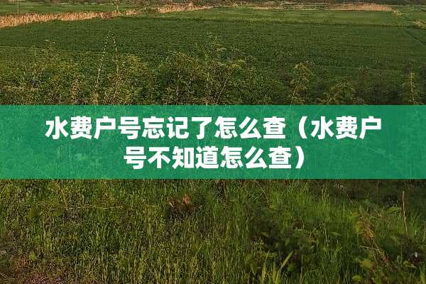 水费户号忘记了怎么查（水费户号不知道怎么查）