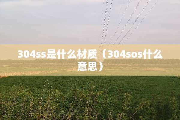 304ss是什么材质（304sos什么意思）