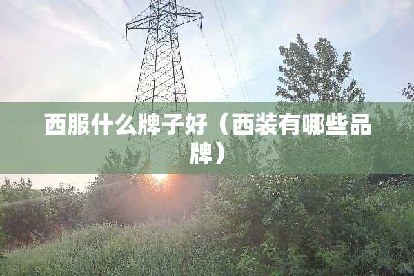 西服什么牌子好（西装有哪些品牌）