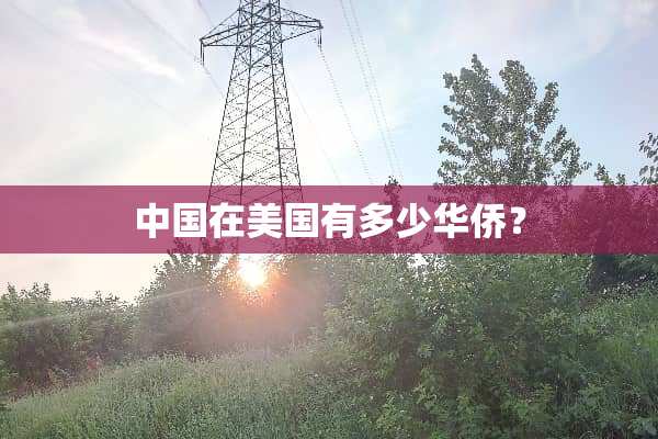中国在美国有多少华侨？