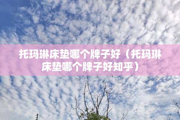 托玛琳床垫哪个牌子好（托玛琳床垫哪个牌子好知乎）