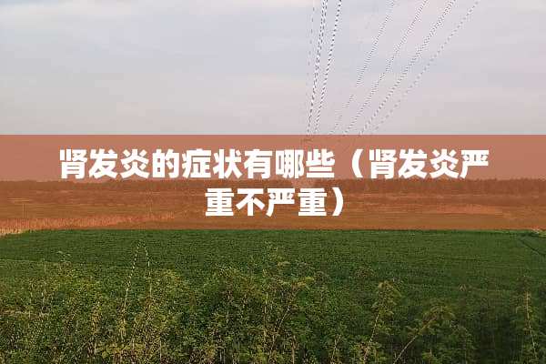 肾发炎的症状有哪些（肾发炎严重不严重）