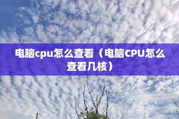 电脑cpu怎么查看（电脑CPU怎么查看几核）