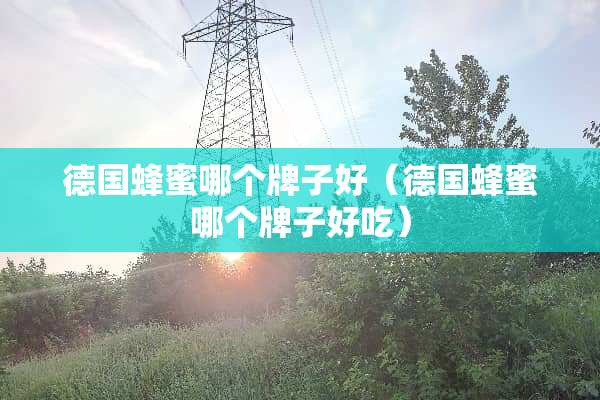 德国蜂蜜哪个牌子好（德国蜂蜜哪个牌子好吃）