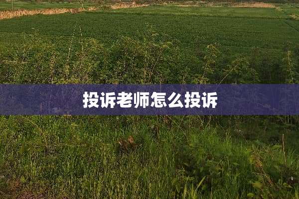 投诉老师怎么投诉
