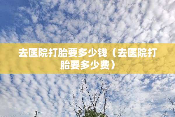 去医院打胎要多少钱（去医院打胎要多少费）