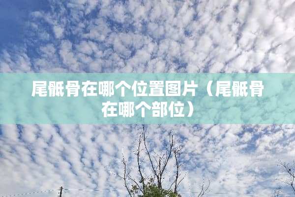 尾骶骨在哪个位置图片（尾骶骨在哪个部位）