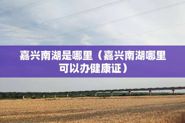 嘉兴南湖是哪里（嘉兴南湖哪里可以办健康证）