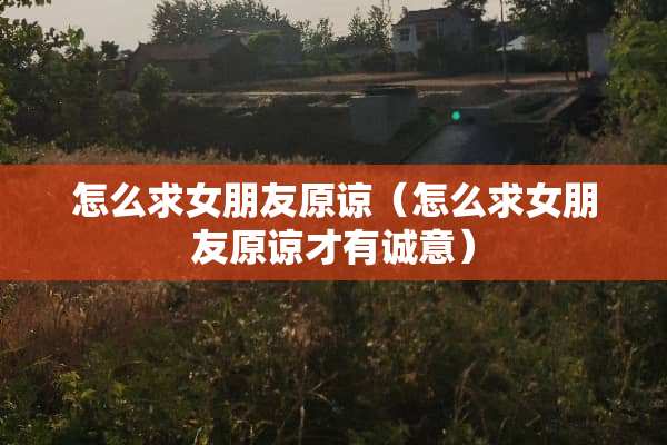 怎么求女朋友原谅（怎么求女朋友原谅才有诚意）