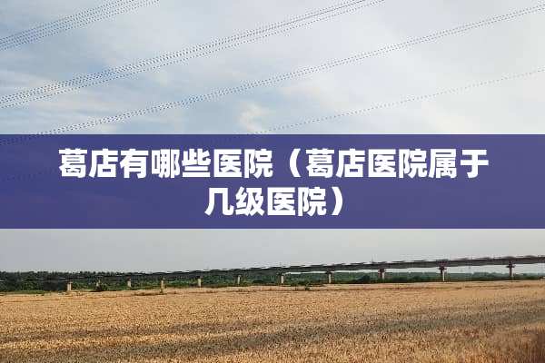 葛店有哪些医院（葛店医院属于几级医院）