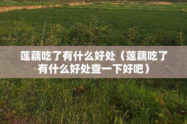 莲藕吃了有什么好处（莲藕吃了有什么好处查一下好吧）